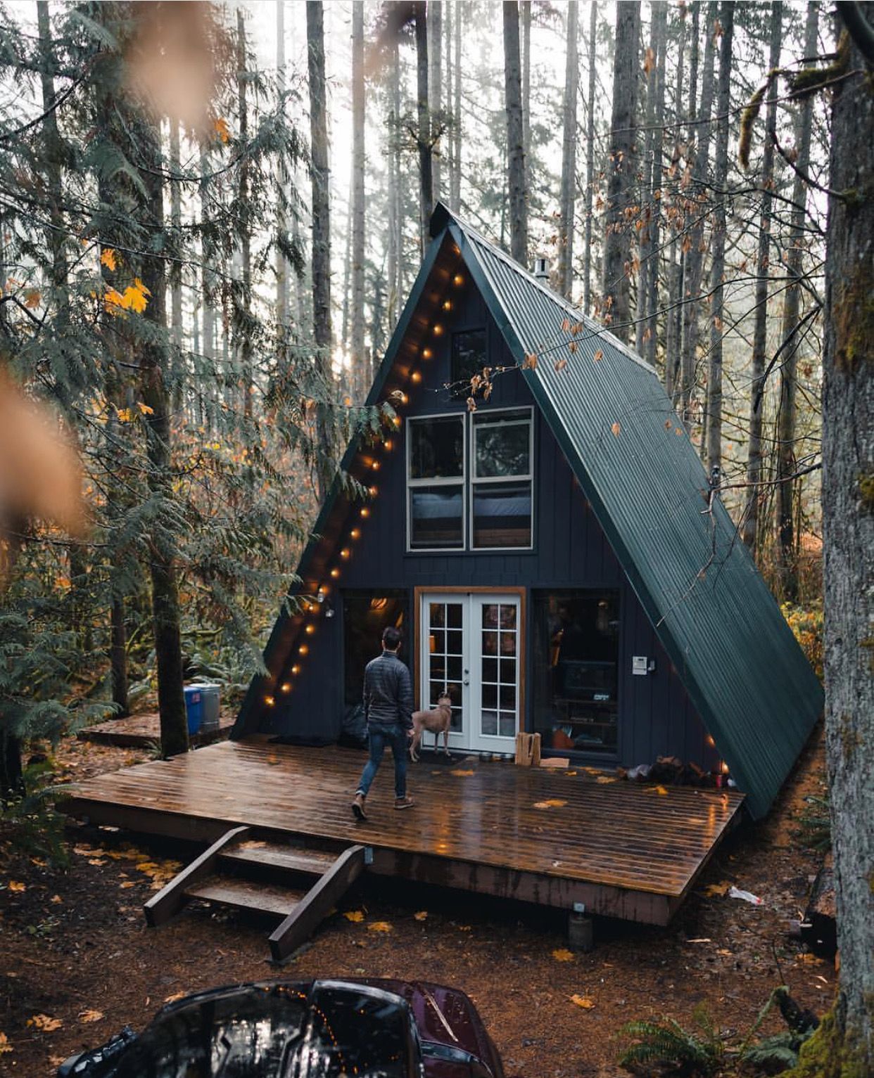Refugio en el bosque patagónico